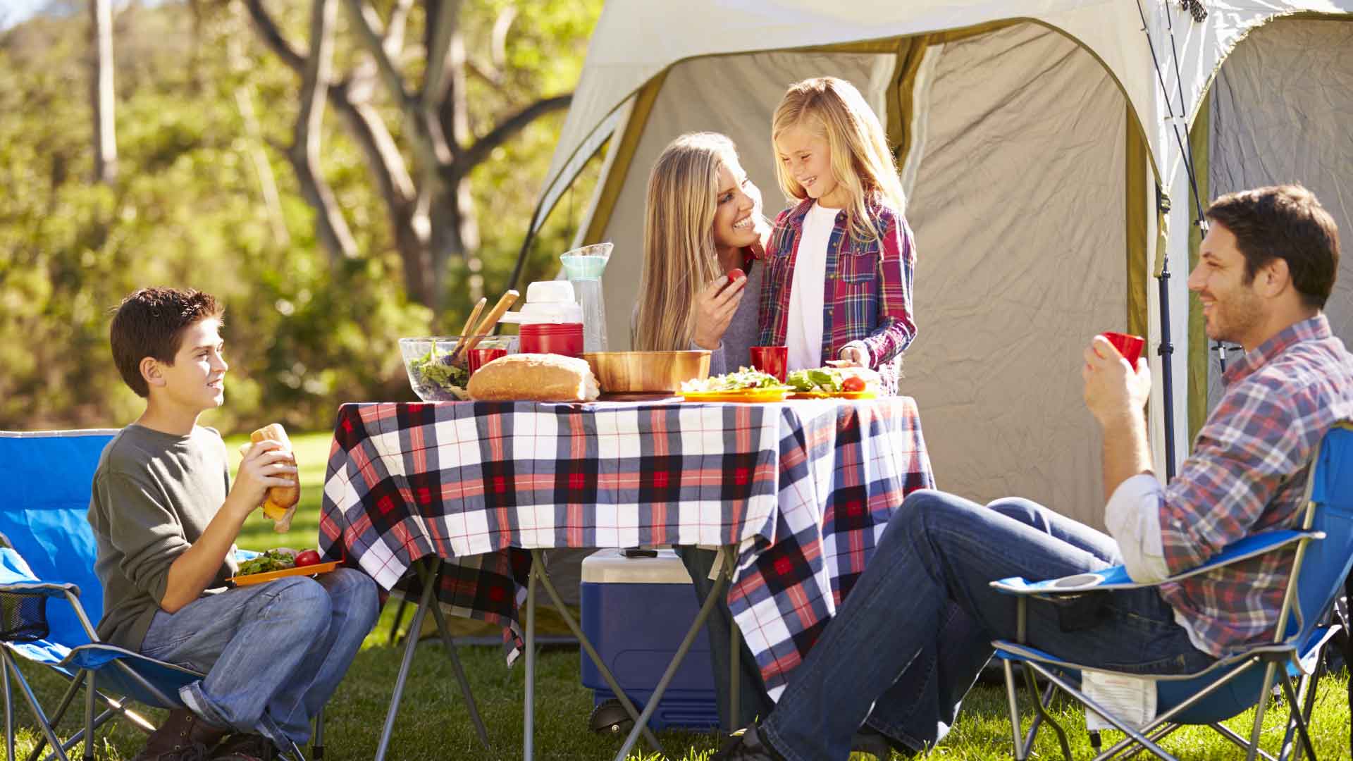 Location d’un emplacement de camping pour tentes ou caravanes   Saint P e sur Nivelle