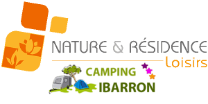 logo ibarron nrl