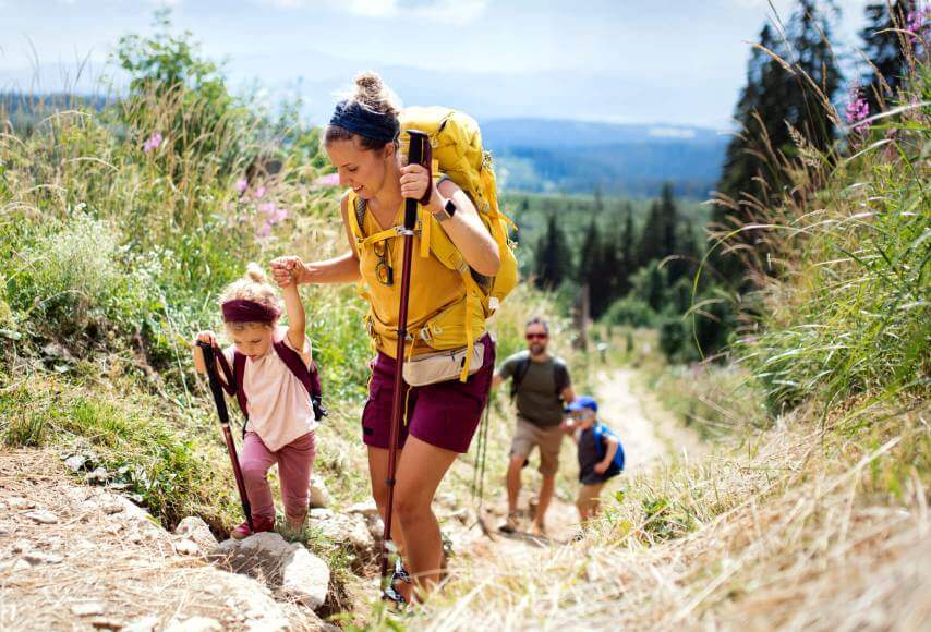 to see Basque country campsite